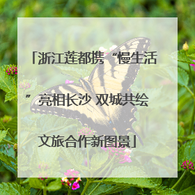浙江莲都携“慢生活”亮相长沙 双城共绘文旅合作新图景