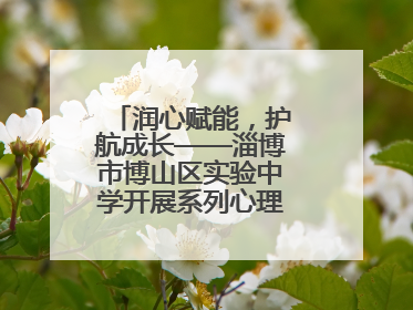 润心赋能，护航成长——淄博市博山区实验中学开展系列心理健康教育活动