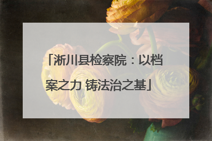 淅川县检察院：以档案之力 铸法治之基