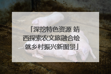 深挖特色资源 靖西探索农文旅融合绘就乡村振兴新图景