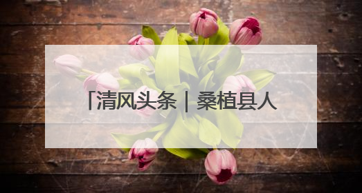 清风头条｜桑植县人潮溪镇：“迟到”5年的生态林补偿金