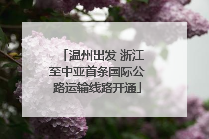温州出发 浙江至中亚首条国际公路运输线路开通