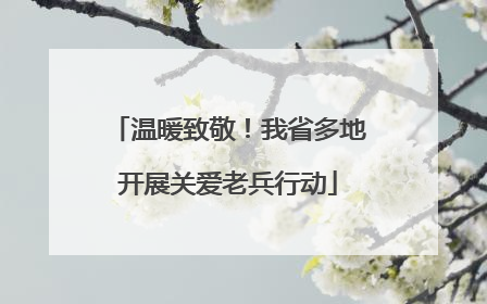 温暖致敬！我省多地开展关爱老兵行动