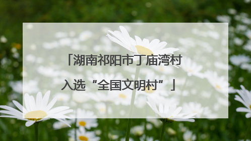 湖南祁阳市丁庙湾村入选“全国文明村”