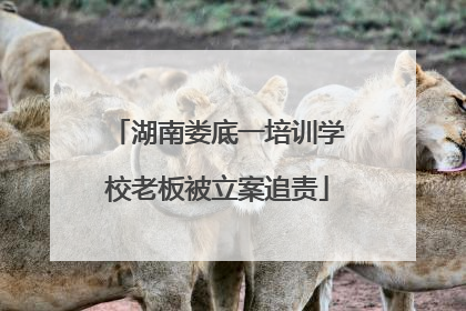 湖南娄底一培训学校老板被立案追责