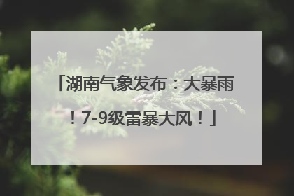 湖南气象发布：大暴雨！7-9级雷暴大风！