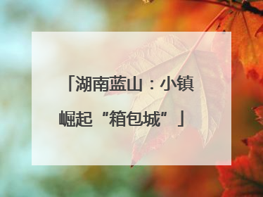 湖南蓝山：小镇崛起“箱包城”