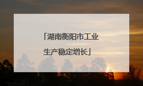 湖南衡阳市工业生产稳定增长