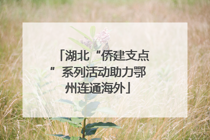 湖北“侨建支点”系列活动助力鄂州连通海外