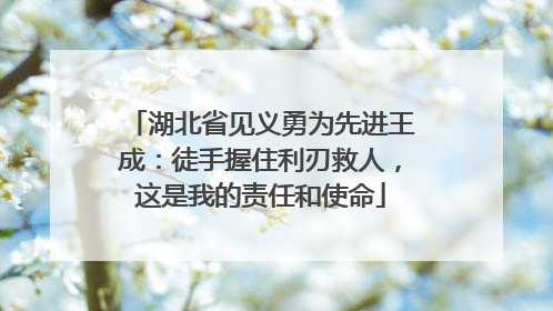 湖北省见义勇为先进王成：徒手握住利刃救人，这是我的责任和使命