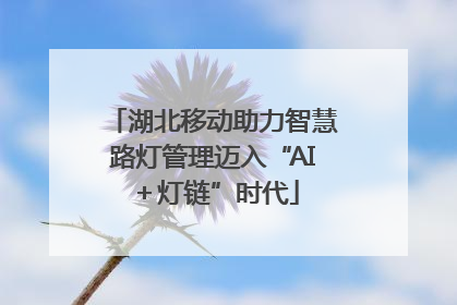 湖北移动助力智慧路灯管理迈入“AI＋灯链”时代