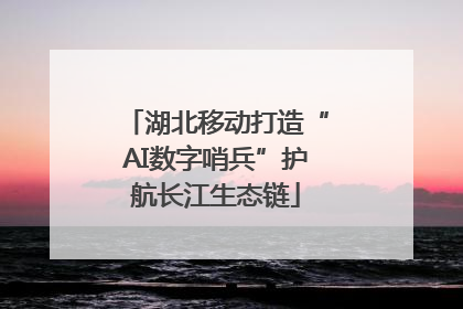 湖北移动打造“AI数字哨兵”护航长江生态链