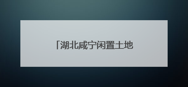 湖北咸宁闲置土地激活产业新动能