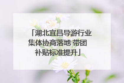 湖北宜昌导游行业集体协商落地 带团补贴标准提升