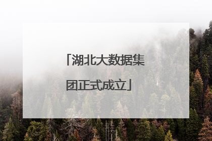 湖北大数据集团正式成立