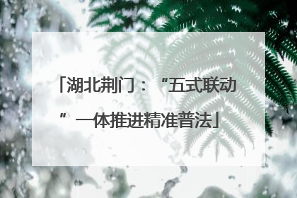 湖北荆门：“五式联动”一体推进精准普法
