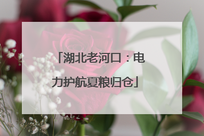 湖北老河口：电力护航夏粮归仓