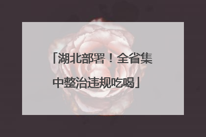 湖北部署！全省集中整治违规吃喝