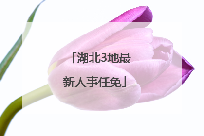 湖北3地最新人事任免
