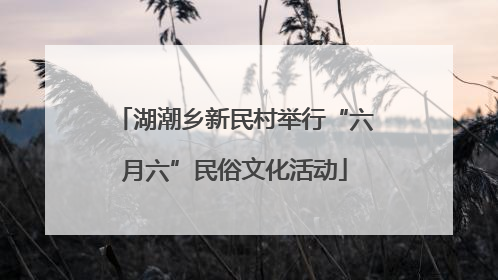湖潮乡新民村举行“六月六”民俗文化活动