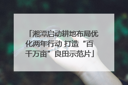 湘潭启动耕地布局优化两年行动 打造“百千万亩”良田示范片