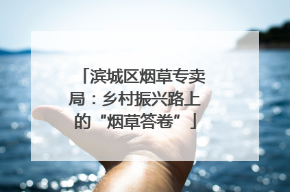 滨城区烟草专卖局：乡村振兴路上的“烟草答卷”