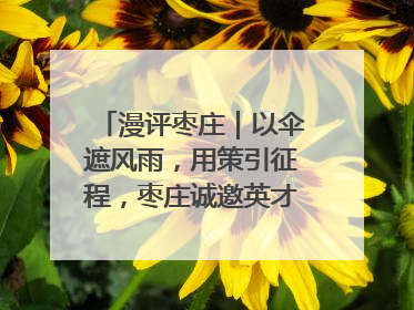 漫评枣庄｜以伞遮风雨，用策引征程，枣庄诚邀英才共赴山海！