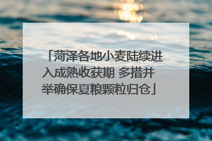 菏泽各地小麦陆续进入成熟收获期 多措并举确保夏粮颗粒归仓