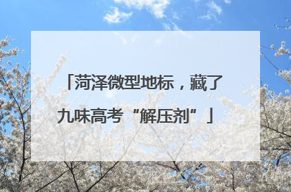 菏泽微型地标，藏了九味高考“解压剂”