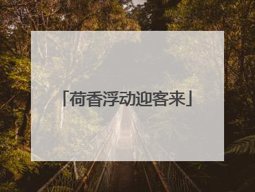 荷香浮动迎客来