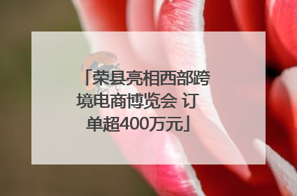 荣县亮相西部跨境电商博览会 订单超400万元
