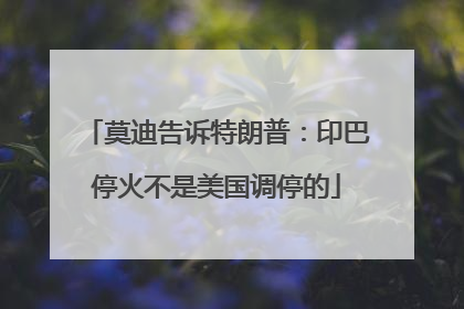 莫迪告诉特朗普：印巴停火不是美国调停的