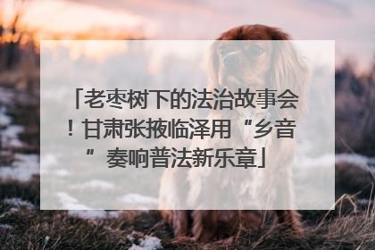 老枣树下的法治故事会！甘肃张掖临泽用“乡音”奏响普法新乐章