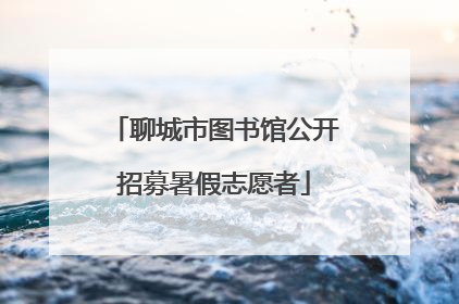 聊城市图书馆公开招募暑假志愿者