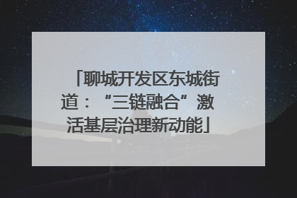 聊城开发区东城街道：“三链融合”激活基层治理新动能
