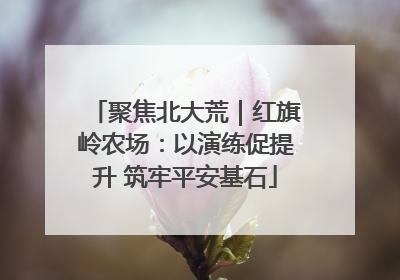 聚焦北大荒｜红旗岭农场：以演练促提升 筑牢平安基石