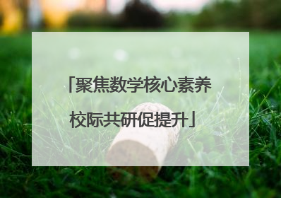 聚焦数学核心素养 校际共研促提升