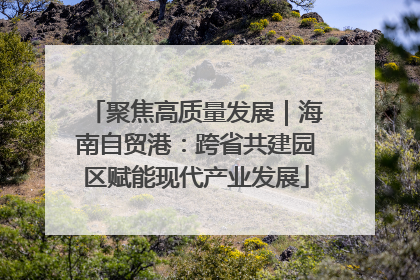 聚焦高质量发展｜海南自贸港：跨省共建园区赋能现代产业发展