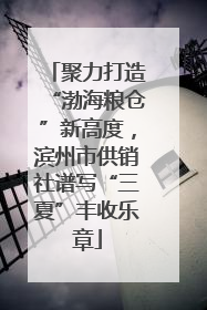 聚力打造“渤海粮仓”新高度，滨州市供销社谱写“三夏”丰收乐章