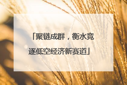 聚链成群，衡水竞逐低空经济新赛道