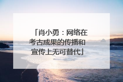 肖小勇：网络在考古成果的传播和宣传上无可替代