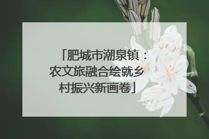 肥城市潮泉镇：农文旅融合绘就乡村振兴新画卷