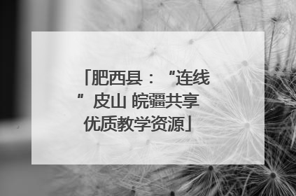 肥西县：“连线”皮山 皖疆共享优质教学资源