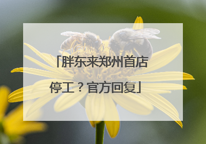 胖东来郑州首店停工？官方回复