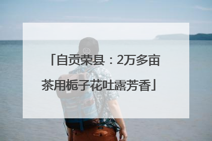 自贡荣县：2万多亩茶用栀子花吐露芳香