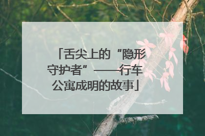 舌尖上的“隐形守护者”——行车公寓成明的故事