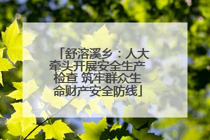 舒溶溪乡：人大牵头开展安全生产检查 筑牢群众生命财产安全防线
