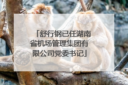 舒行钢已任湖南省机场管理集团有限公司党委书记