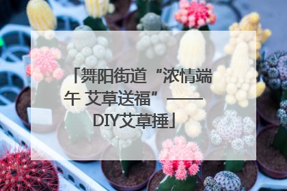 舞阳街道“浓情端午 艾草送福”——DIY艾草捶