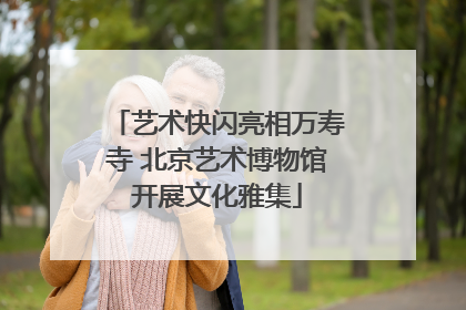 艺术快闪亮相万寿寺 北京艺术博物馆开展文化雅集
